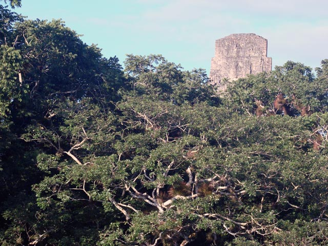 Tikal-morning