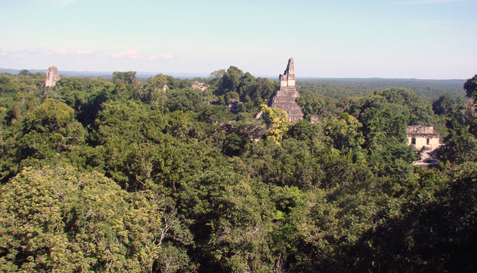 view from temple 5
