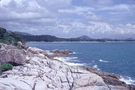 Ko-samui.jpg (35786 bytes)